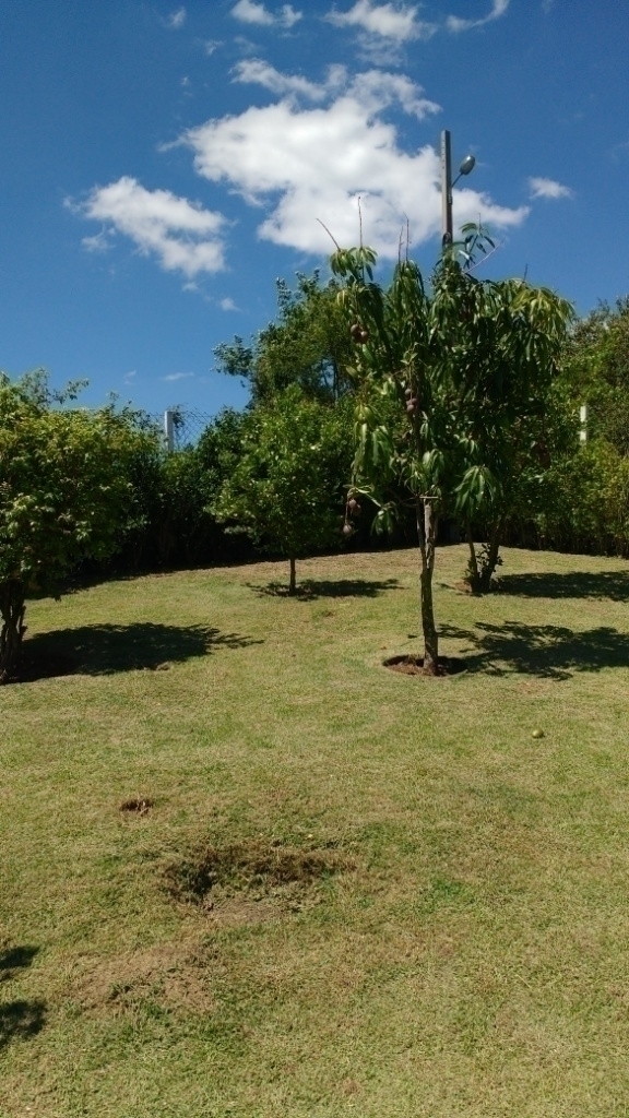 Fazenda à venda com 3 quartos, 290m² - Foto 52