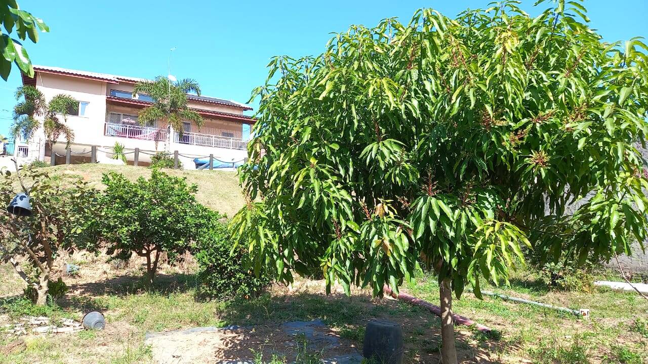 Fazenda à venda com 3 quartos, 235m² - Foto 30