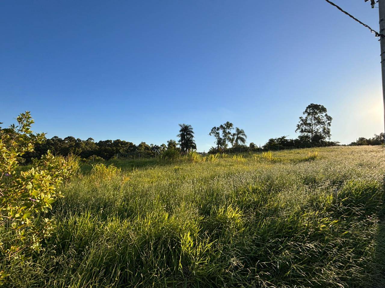 Terreno à venda, 250m² - Foto 4