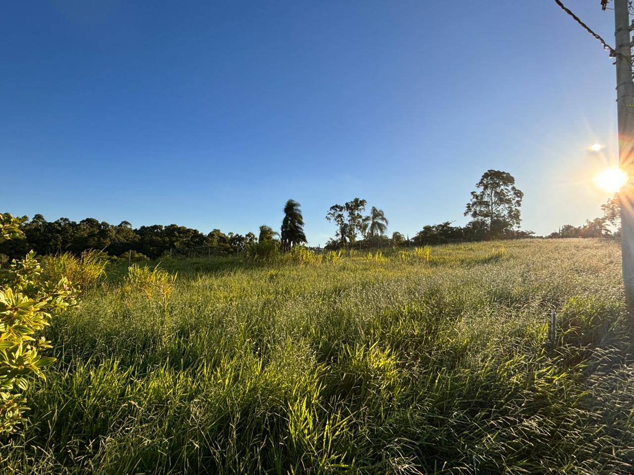 Terreno à venda, 250m² - Foto 5