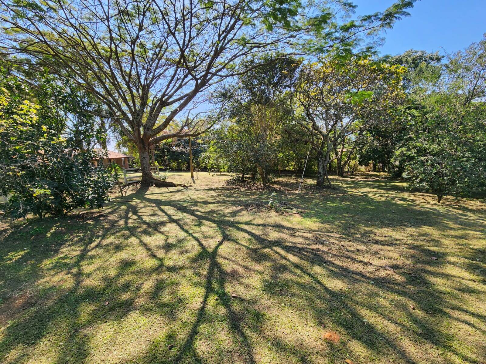 Fazenda à venda com 3 quartos, 380m² - Foto 4