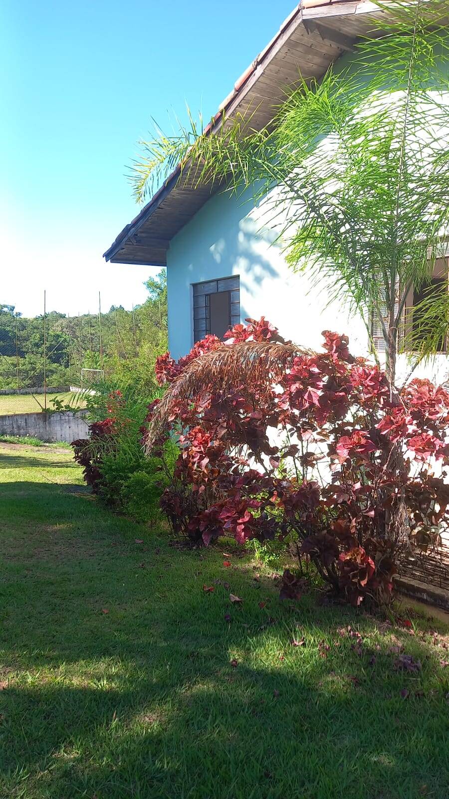 Fazenda à venda com 2 quartos, 75m² - Foto 14